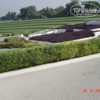 фото из отзыва ID 435476