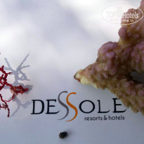 фото из отзыва ID 435489