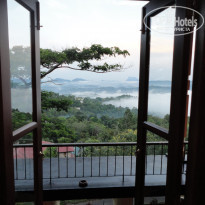 фото из отзыва ID 435503