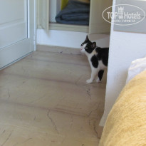 фото из отзыва ID 435785