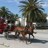 фото из отзыва ID 43600