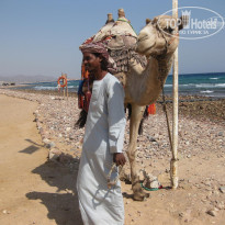 фото из отзыва ID 436550