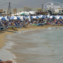 фото из отзыва ID 436646