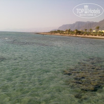 фото из отзыва ID 436826