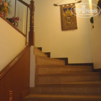 фото из отзыва ID 437233