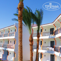 фото из отзыва ID 437246