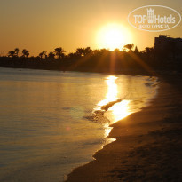 фото из отзыва ID 437170