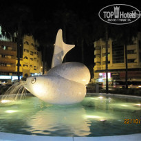 фото из отзыва ID 437288