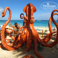 фото из отзыва ID 437364