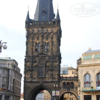 фото из отзыва ID 437397