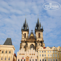 фото из отзыва ID 437397