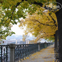 фото из отзыва ID 437397