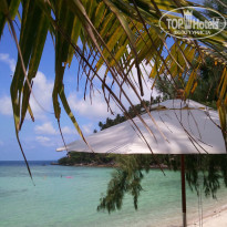 фото из отзыва ID 437673