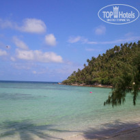 фото из отзыва ID 437673