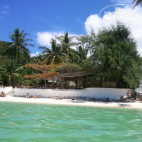 фото из отзыва ID 437673