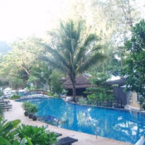 фото из отзыва ID 437674