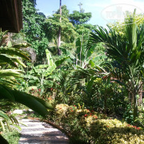 фото из отзыва ID 437673