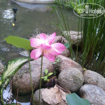 фото из отзыва ID 437673