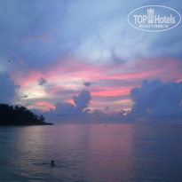 фото из отзыва ID 437673