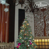 фото из отзыва ID 437735