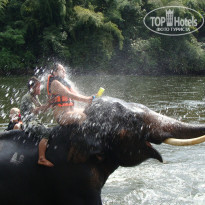 фото из отзыва ID 437763