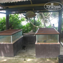 фото из отзыва ID 437836