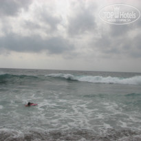 фото из отзыва ID 437836