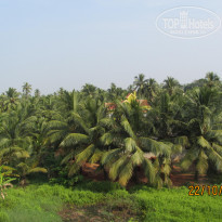 фото из отзыва ID 437879