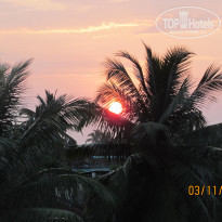 фото из отзыва ID 437879