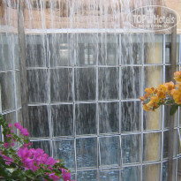 фото из отзыва ID 437887