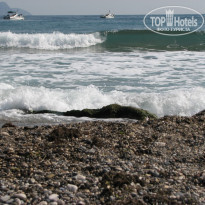 фото из отзыва ID 437900