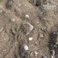 фото из отзыва ID 437900