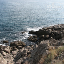 фото из отзыва ID 437900