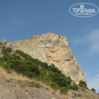 фото из отзыва ID 437900