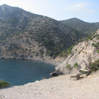 фото из отзыва ID 437900