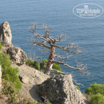 фото из отзыва ID 437900