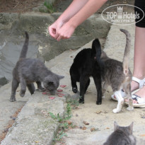 фото из отзыва ID 437900