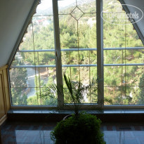 фото из отзыва ID 437900