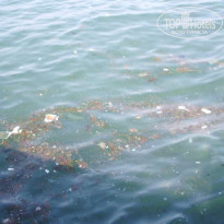 фото из отзыва ID 43811