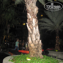 фото из отзыва ID 438295