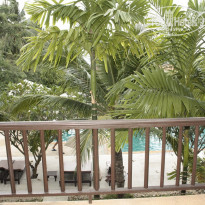 фото из отзыва ID 438527