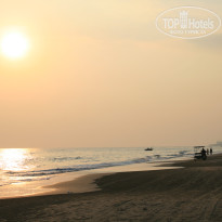 фото из отзыва ID 439021