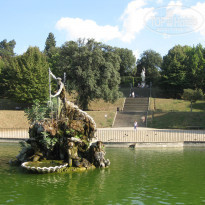 фото из отзыва ID 439128