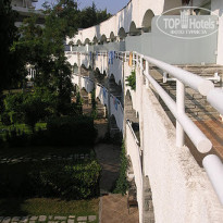 фото из отзыва ID 439301