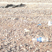 фото из отзыва ID 439339