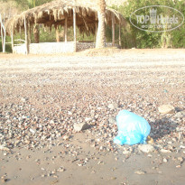 фото из отзыва ID 439339