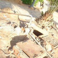 фото из отзыва ID 439339