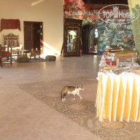 фото из отзыва ID 439339