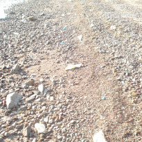 фото из отзыва ID 439339