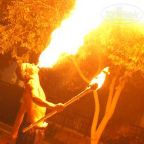 фото из отзыва ID 439351